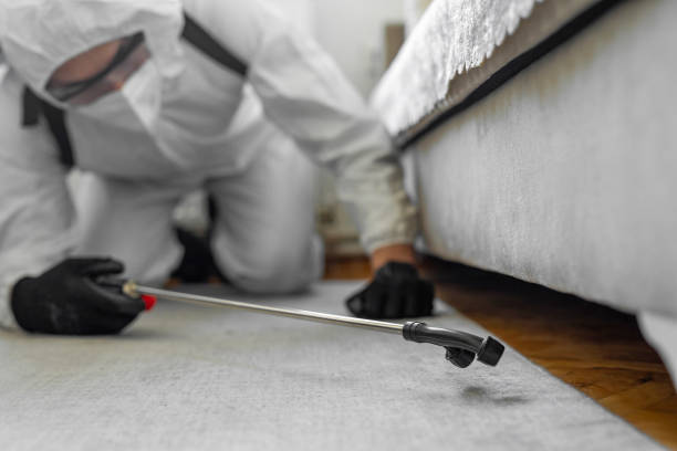 Professional Bed Bug Control technician working in Vero Lake Estates, FL